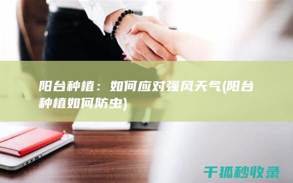 阳台种植：如何应对强风天气 (阳台种植如何防虫)