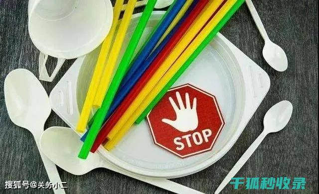 减少塑料使用：用智慧和行动守护地球 (减少塑料使用的英文)