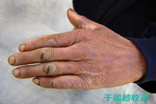 揭秘市面上最好的护手霜