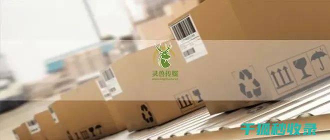 快递保价秘籍：确保您的包裹安全到达 (快递保价秘籍是什么)