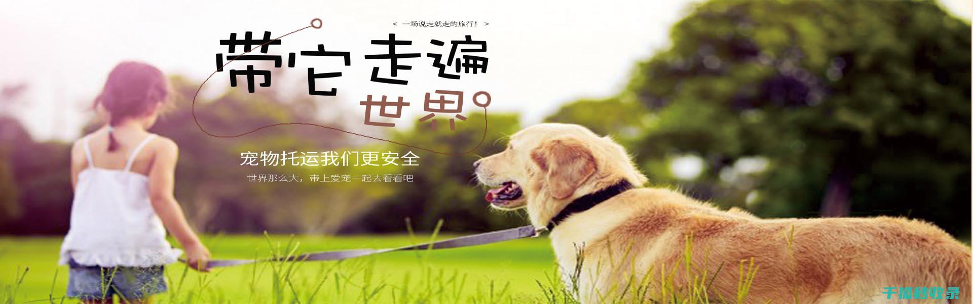 宠物驱虫周期：定期驱虫，宠物健康无忧 (宠物驱虫周期建议)