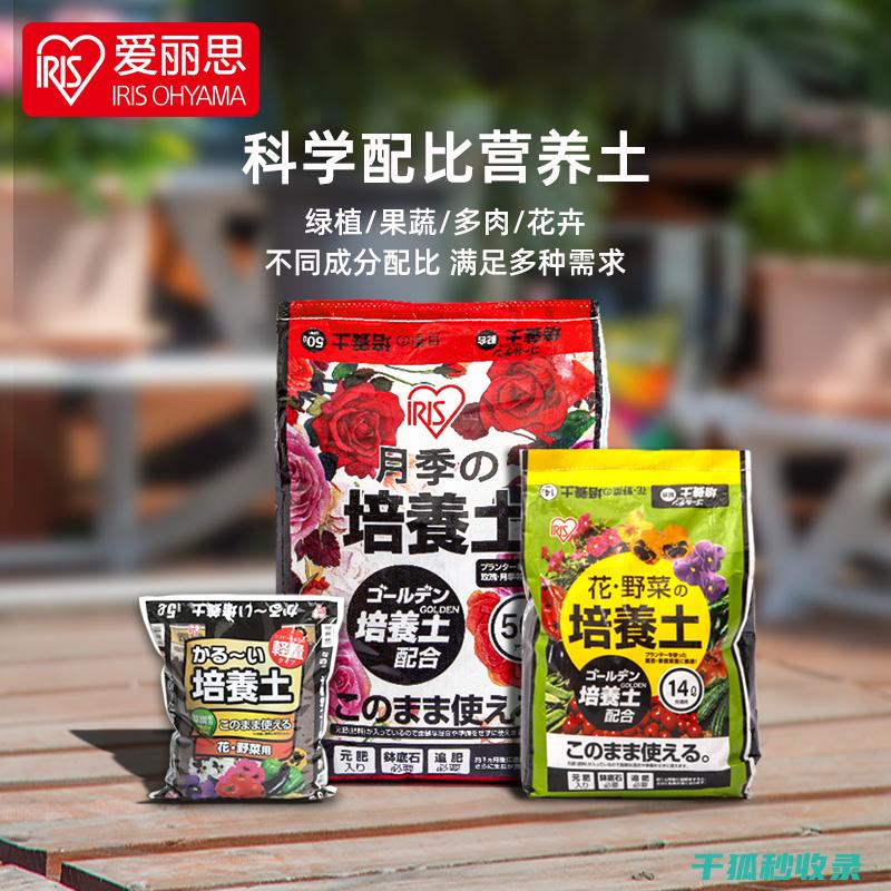 盆栽土壤配比：适合不同花期植物的配方推荐 (盆栽土壤配比标准)