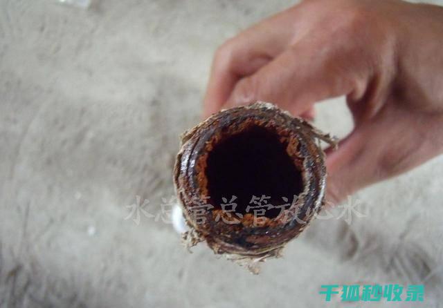 水垢去除与家庭责任：每个人的角色 (水垢去除与家里有关吗)