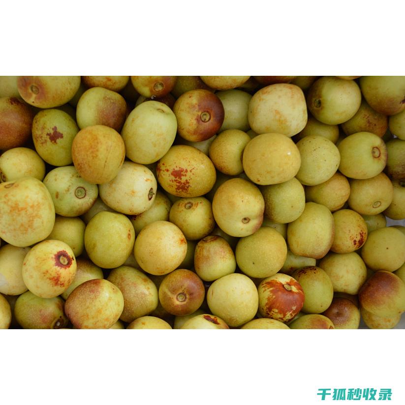 延长水果期