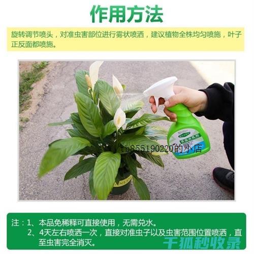 植物驱虫：如何利用植物保护您的家庭免受害虫侵扰 (植物 驱虫)