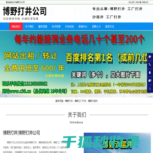 博野打井