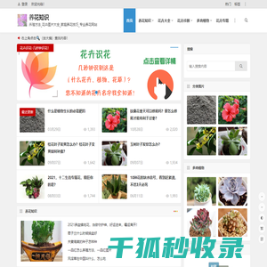 养花知识