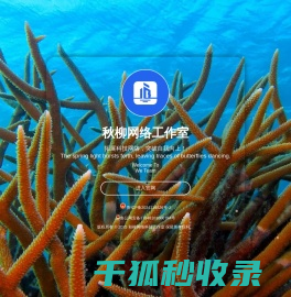 秋柳网络科技工作室