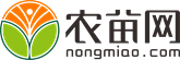 新疆苗木